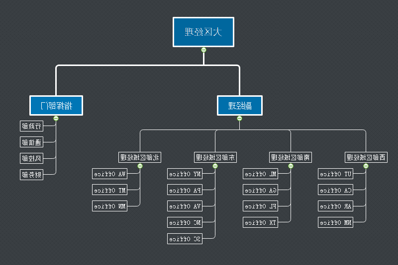 大区经理组织架构图