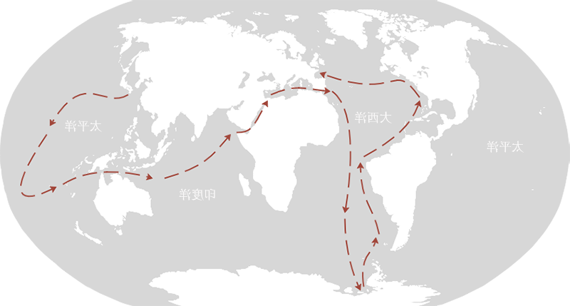 海底两万里航行路线