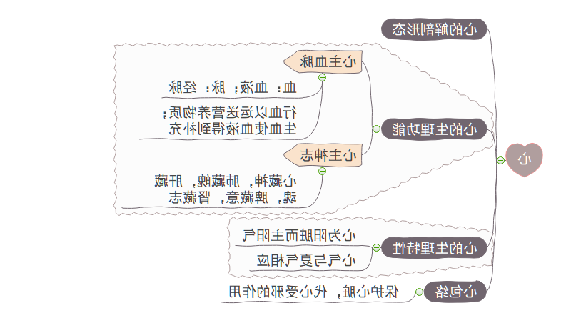 五脏思维导图