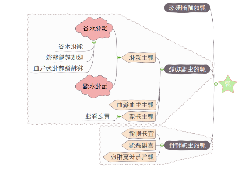 五脏思维导图