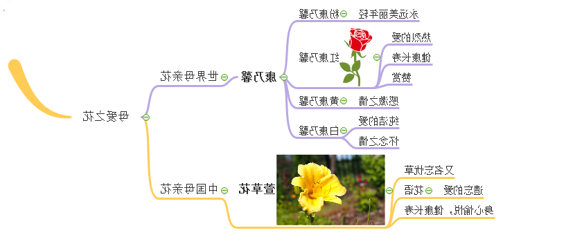 母爱之花思维导图