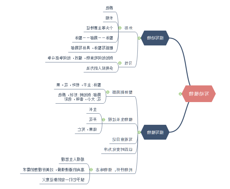 写作技巧思维导图