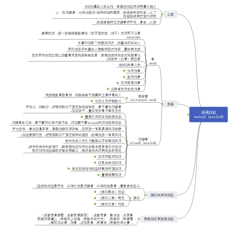运动系统思维导图