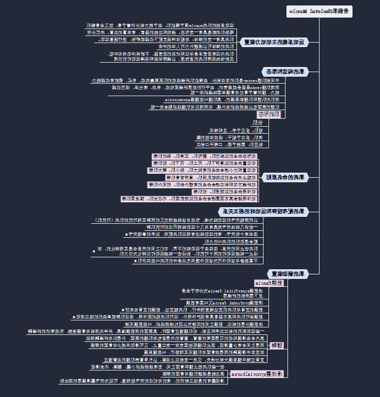 骨骼肌思维导图
