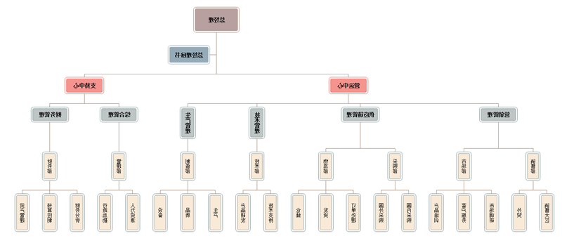 公司组织架构图