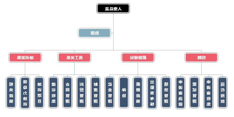 人力资源组织结构图