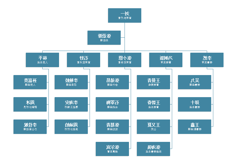 销售公司结构图