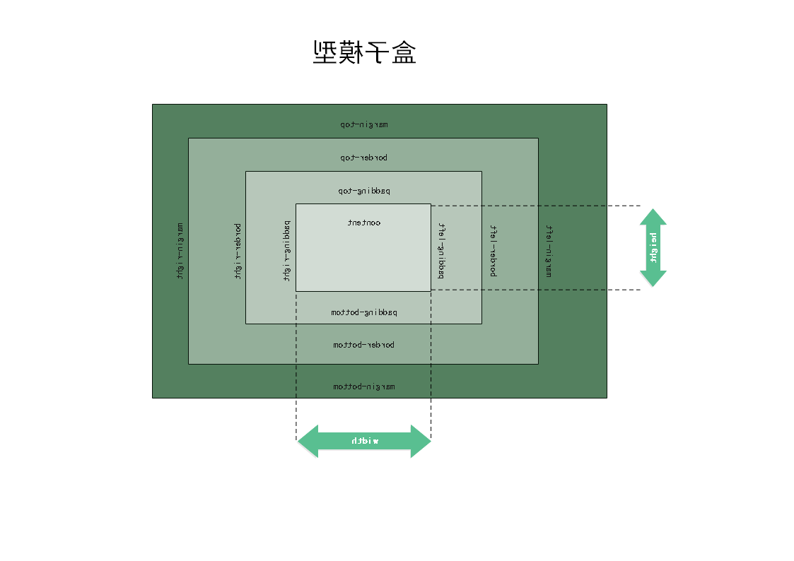 盒子模型