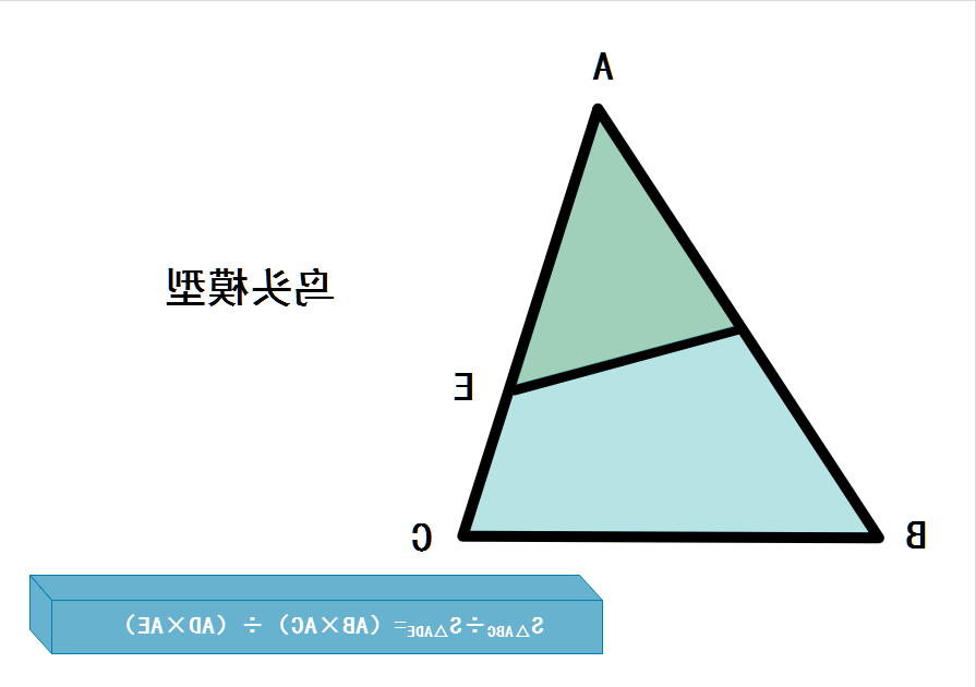 鸟头模型