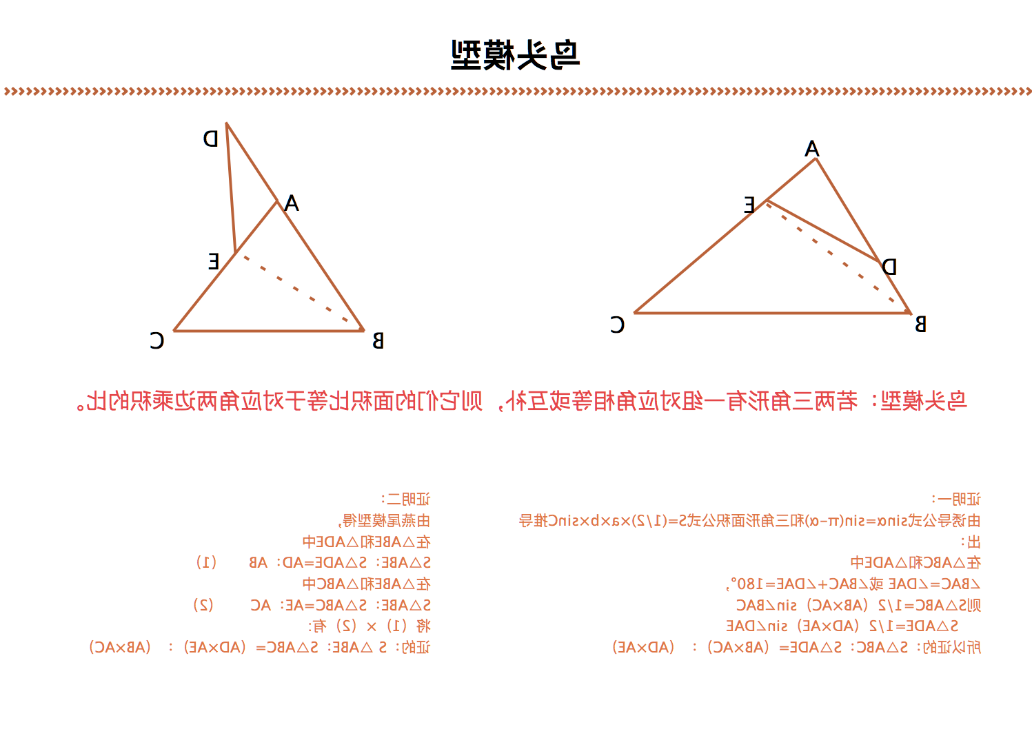 鸟头模型